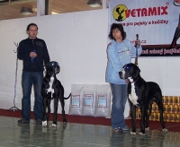 FEMALE - Open class (BONNIE ANGELS-VALLEY and SIDNEY DOLANSKY DVUR)