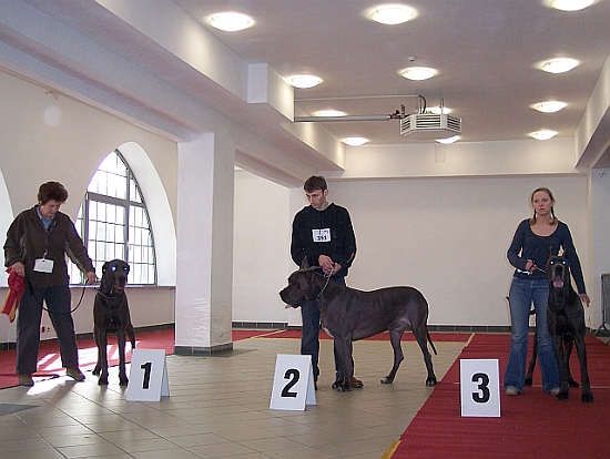 DOGS OPEN CLASS (I-ORC vom Hause Wagner II- BASTER Perfect Dog III-RODZYNEK z Bkitnych Wydm)
