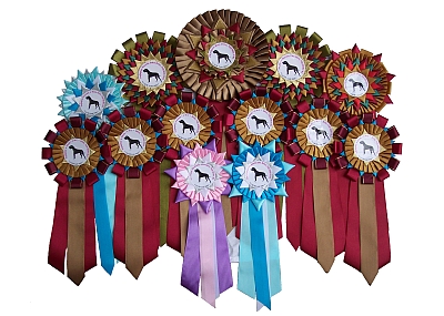 Rosettes from International Dog Show in d (Poland)