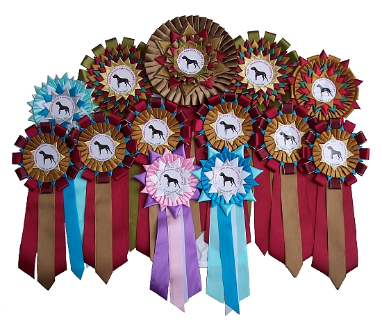 All rosettes together